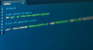 php curl get ip detail